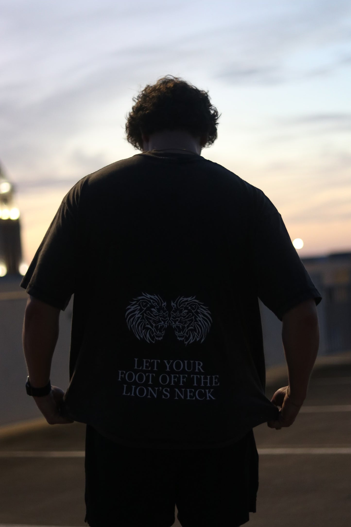 Lion heart Heavy Tee